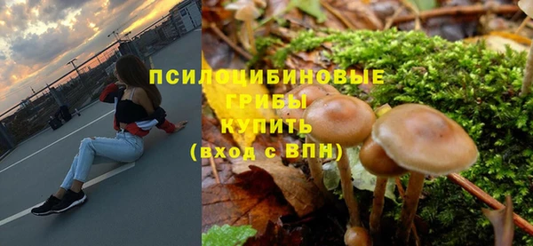 экстази Пестово