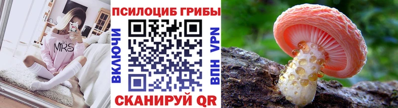 Купить  Зея  Псилоцибиновые грибы GOLDEN TEACHER 